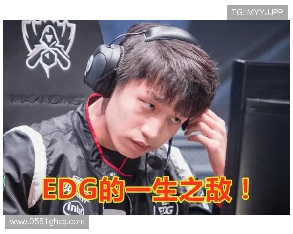 聚焦王者荣耀FPX战队耐力与策略的深度解析与探讨