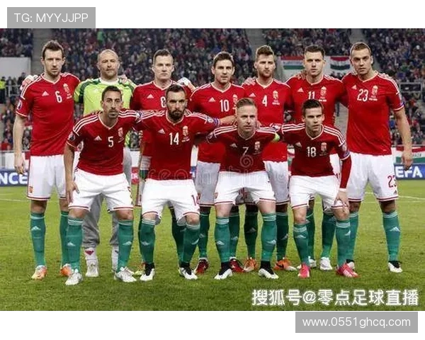 威尔士与斯洛伐克比赛前瞻分析及胜负预测全解析